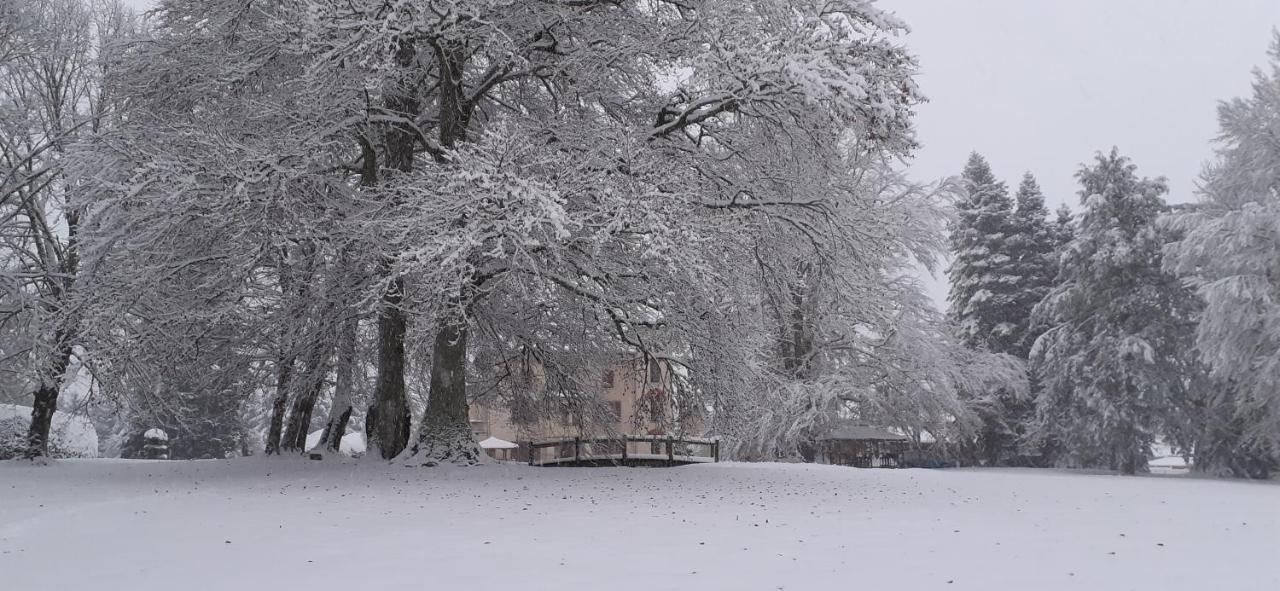 Domaine De Marchal - Chambres Et Table D'Hotes Celles-Sur-Durolle エクステリア 写真