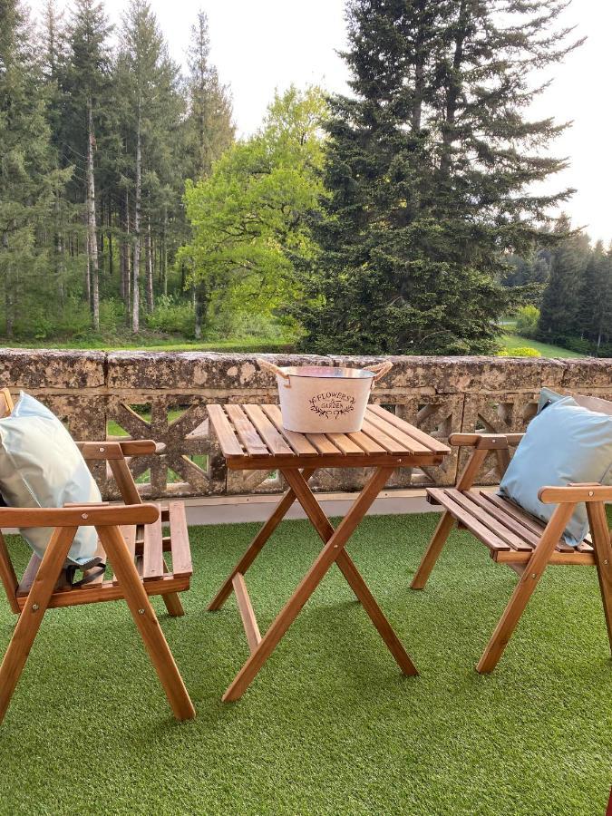 Domaine De Marchal - Chambres Et Table D'Hotes Celles-Sur-Durolle エクステリア 写真